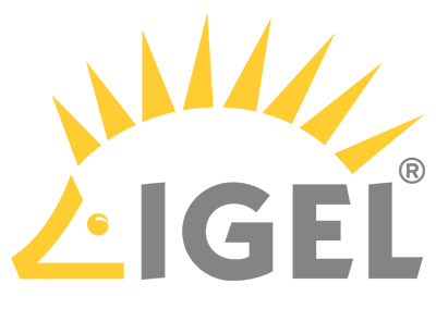 IGEL AvistaPR Content Marketing Public Relations